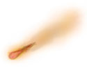Comet pix: The Virgin Mary warns that a fiery comet will destroy 3/4 of mankind because of their sins