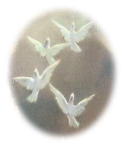 doves