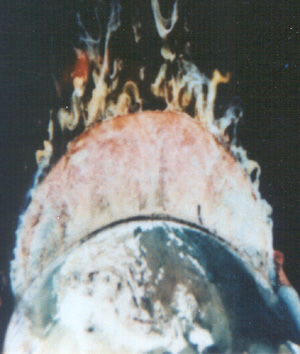 Comet hitting earth mirac photo