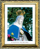 Our Lady of the Roses framed picture